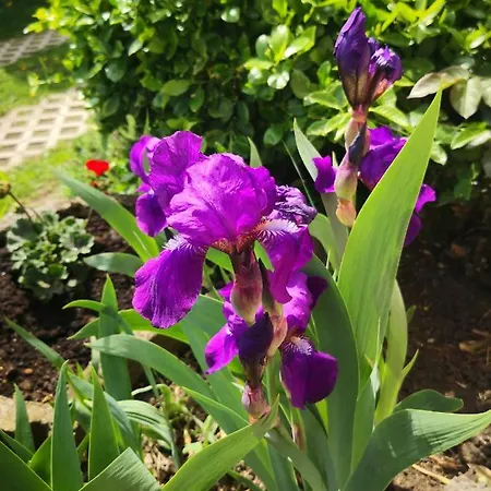 Apartman Berc Egerszalók